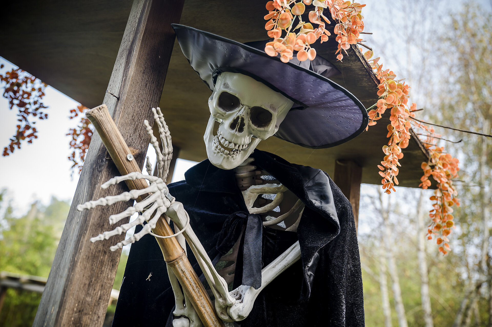 décors halloween Mer de Sable